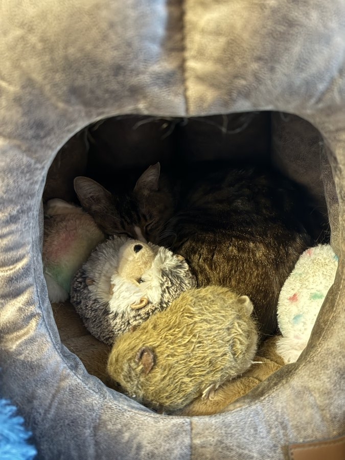 奴才：你真暖心捏