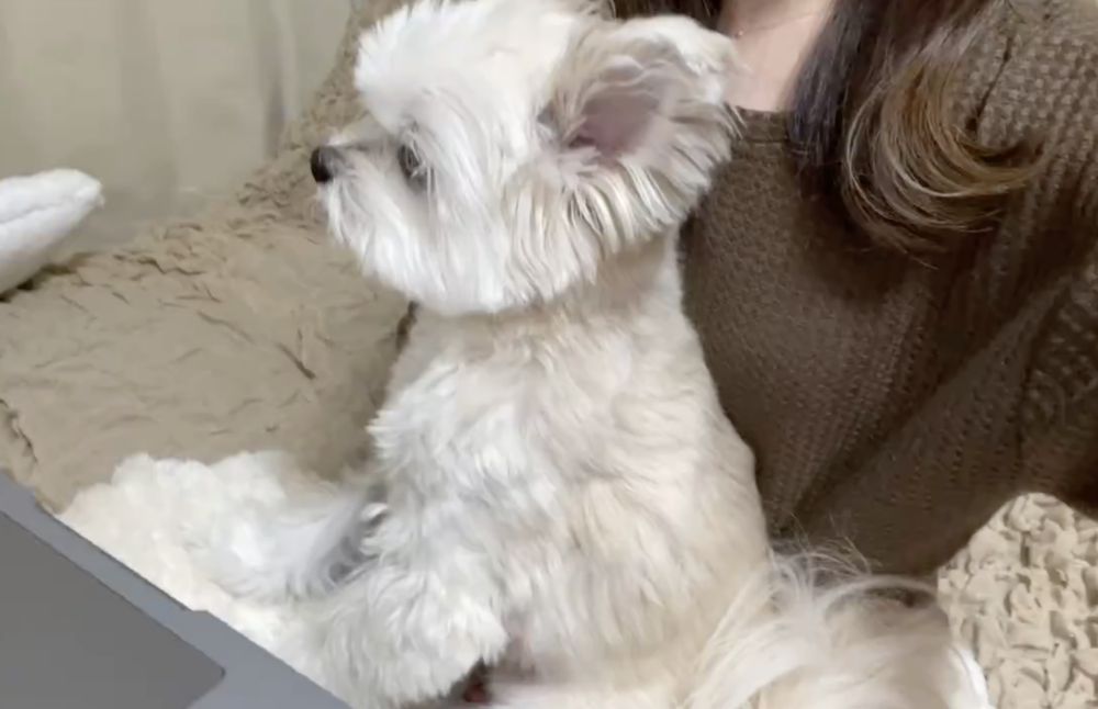 奴才：看誰比較能忍啊