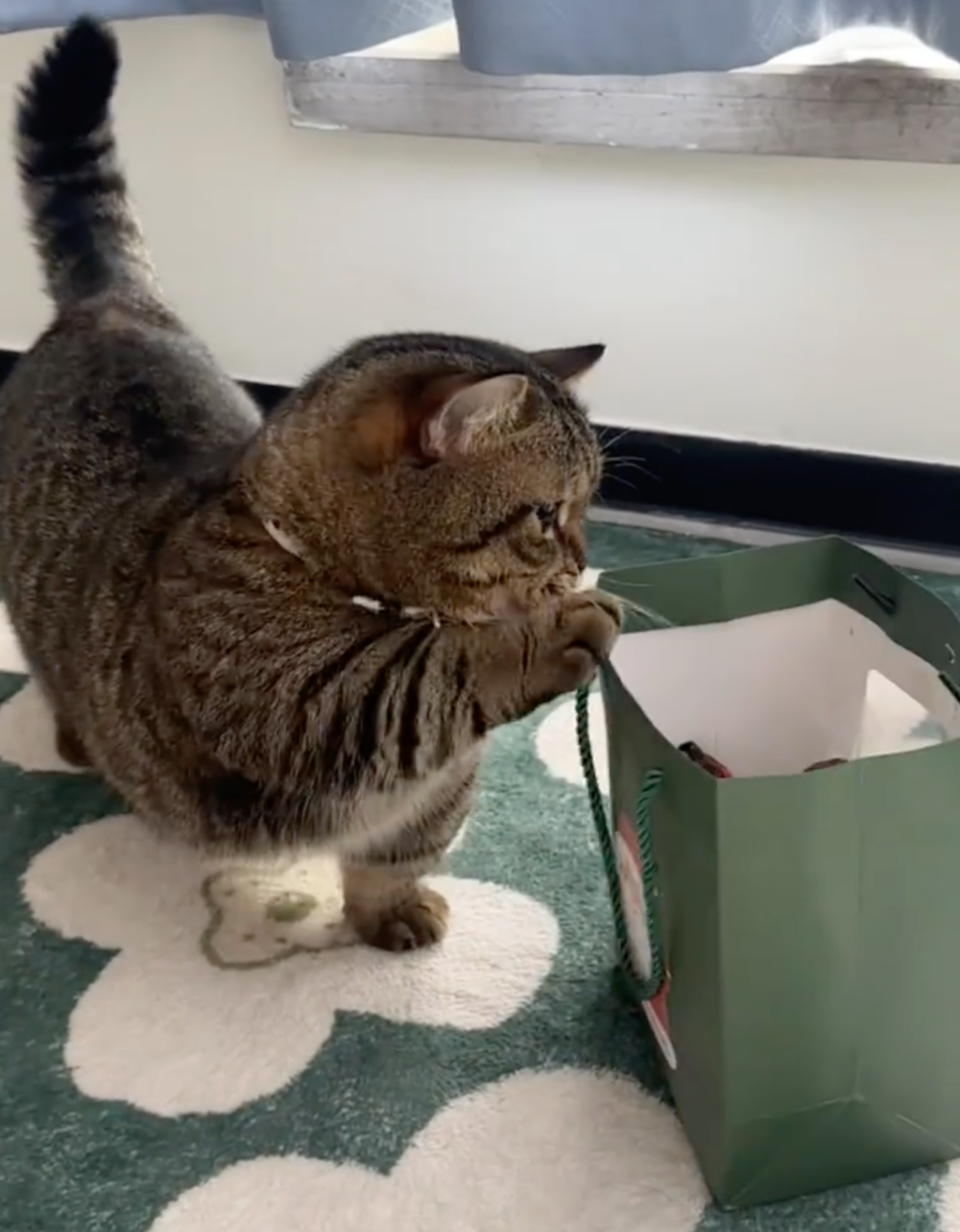 奴才：那也不行喔