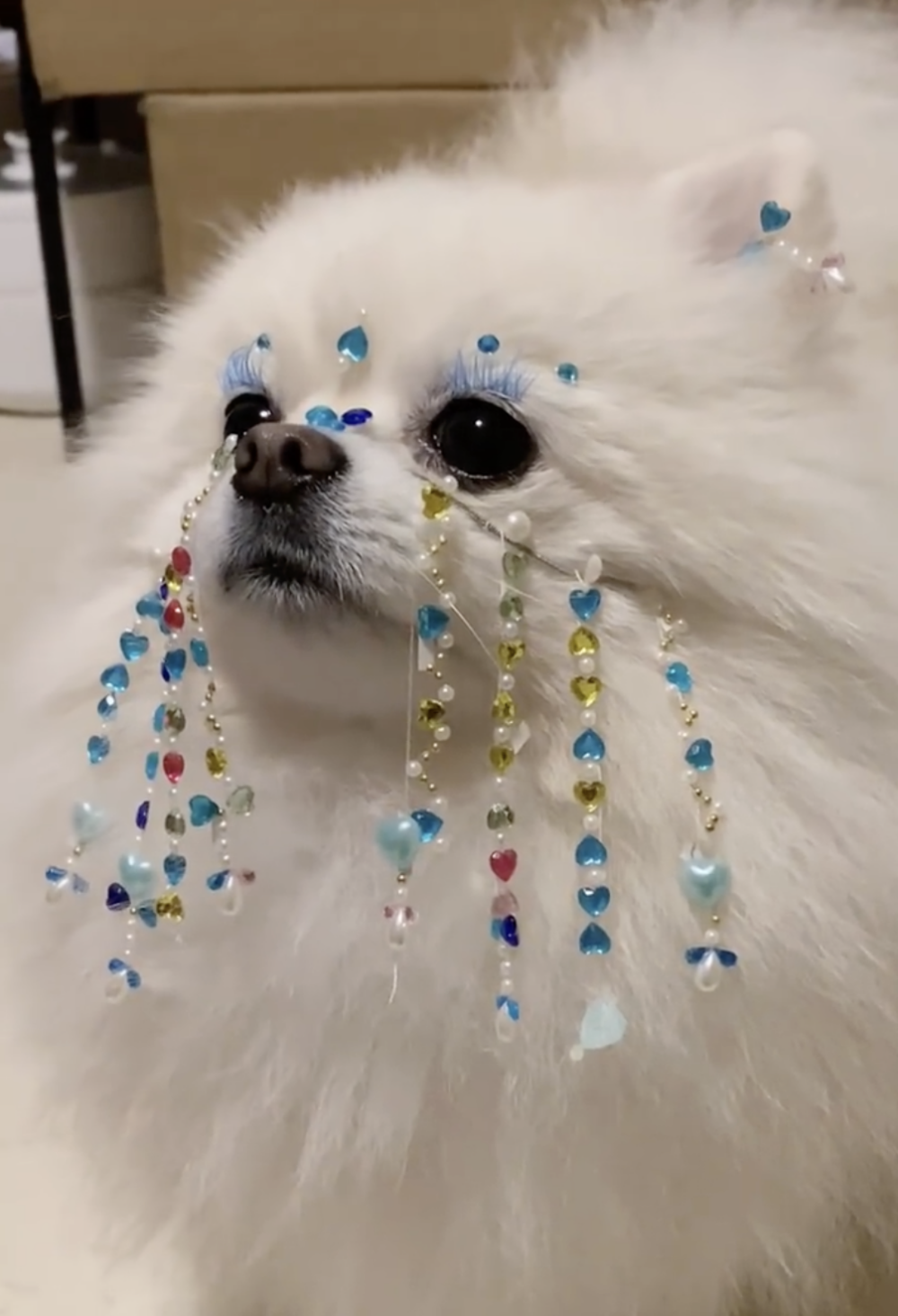 奴才：這都是小事情囉