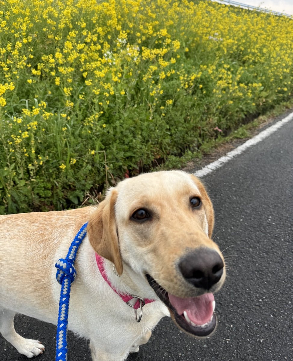 奴才：開心是會傳染噠