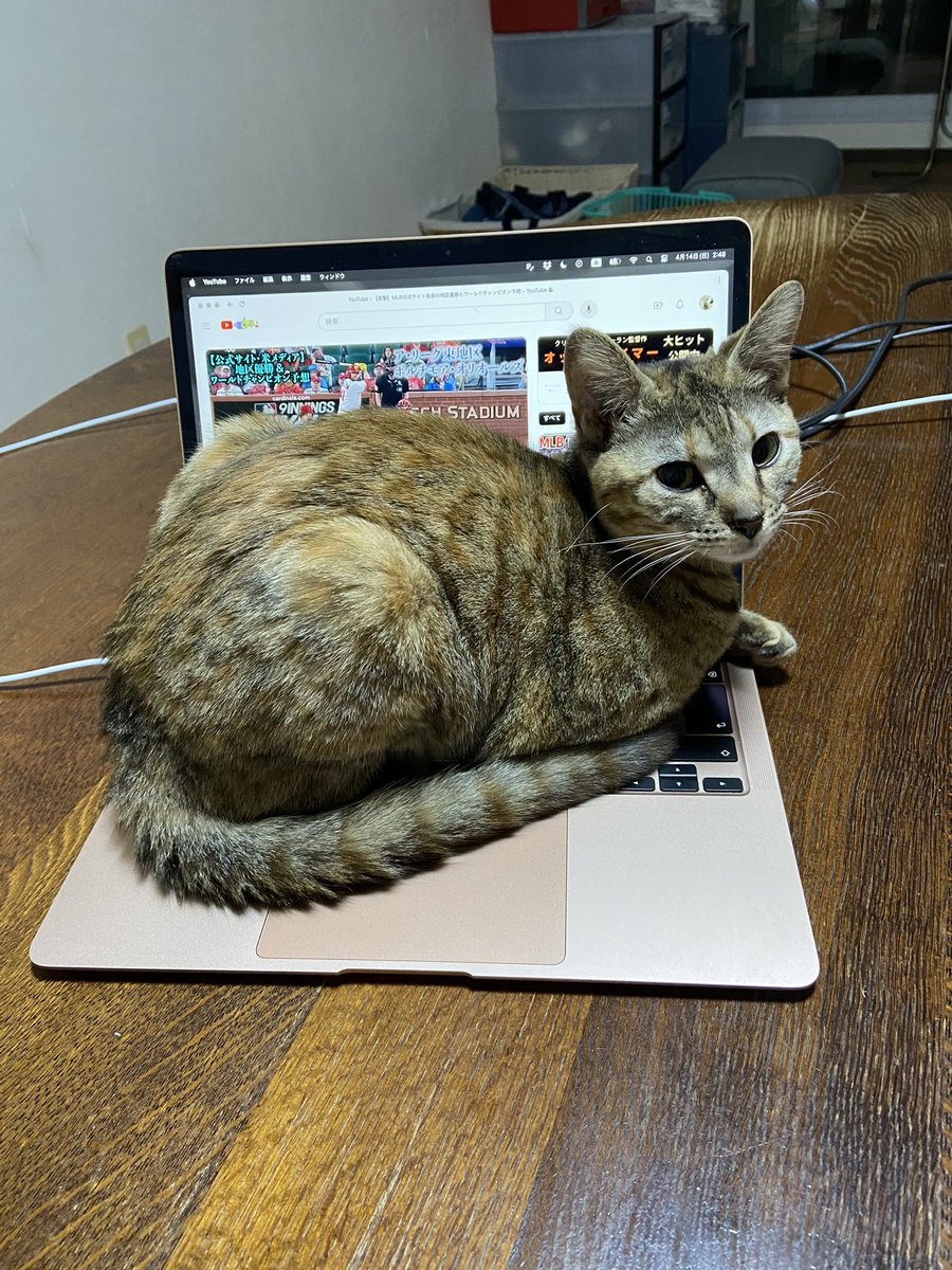 奴才：被你拿捏了