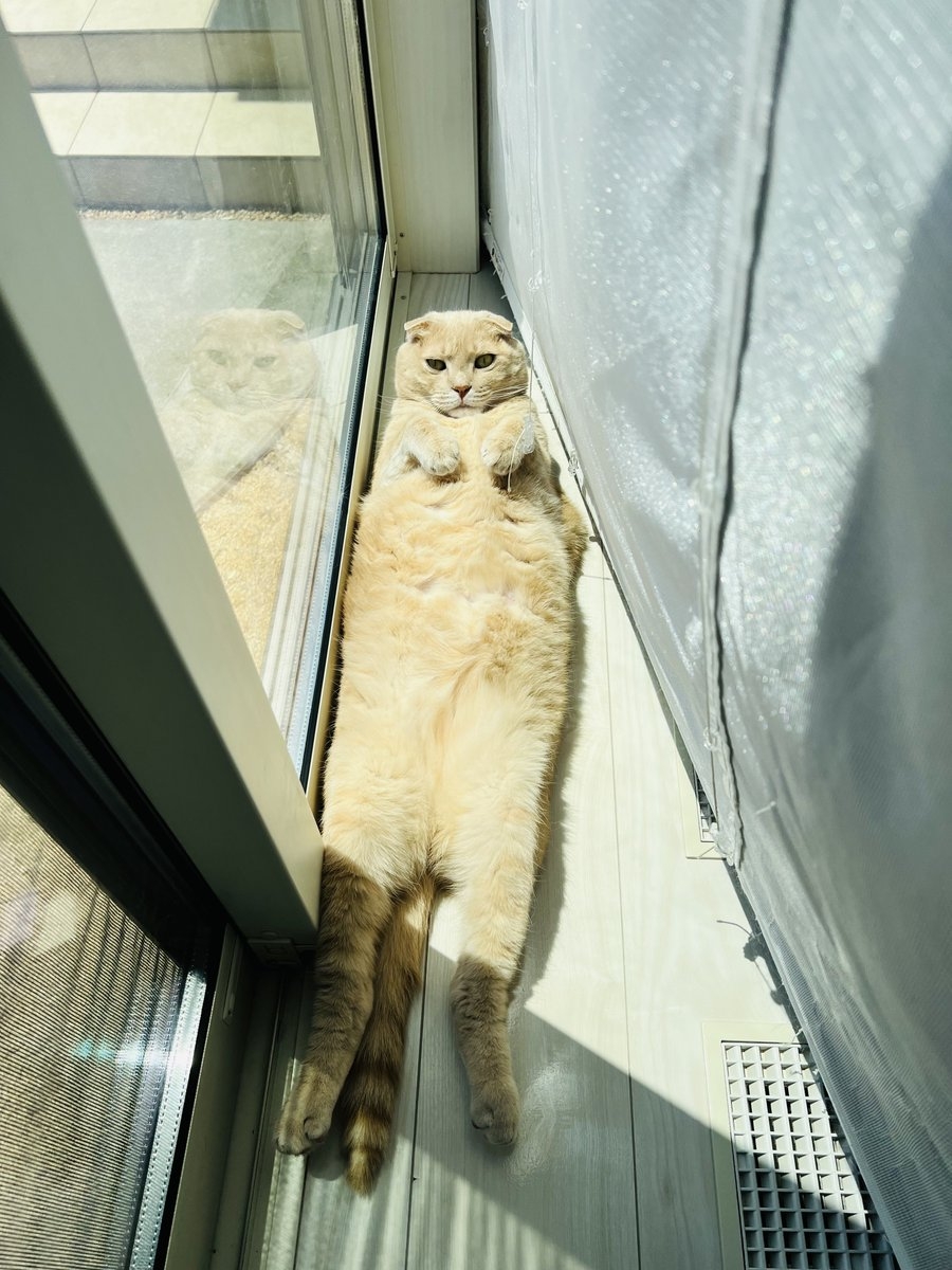 奴才：那你展示一下呀