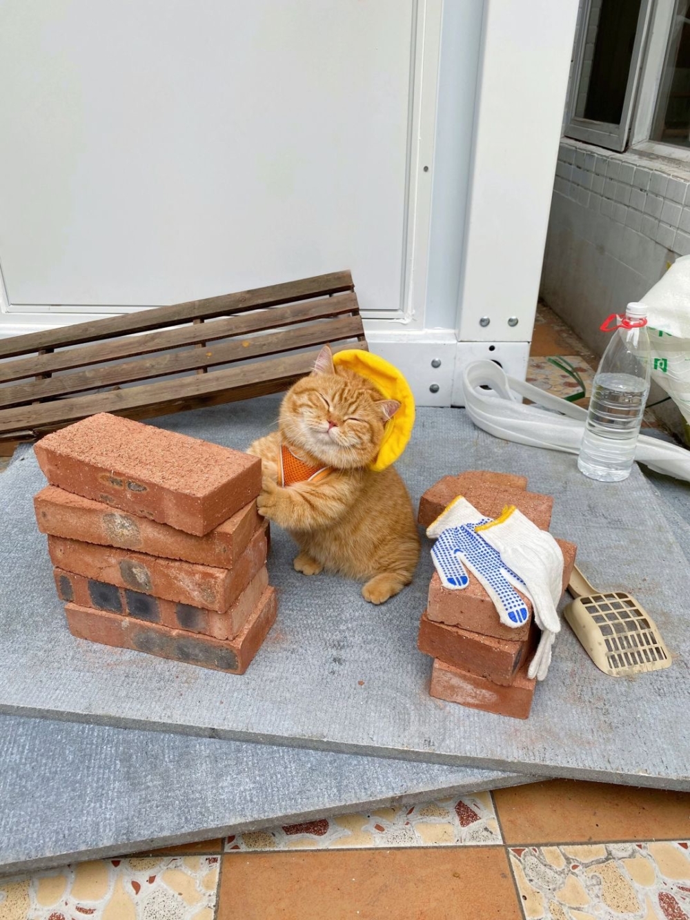 奴才：就是要讓你來體驗生活啦