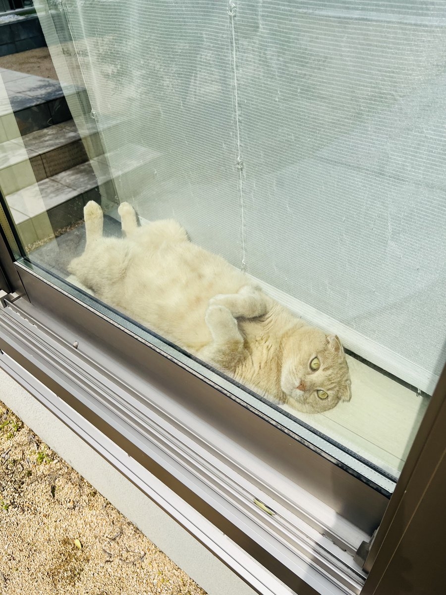 奴才：這不是在模仿天婦羅炸蝦吧？