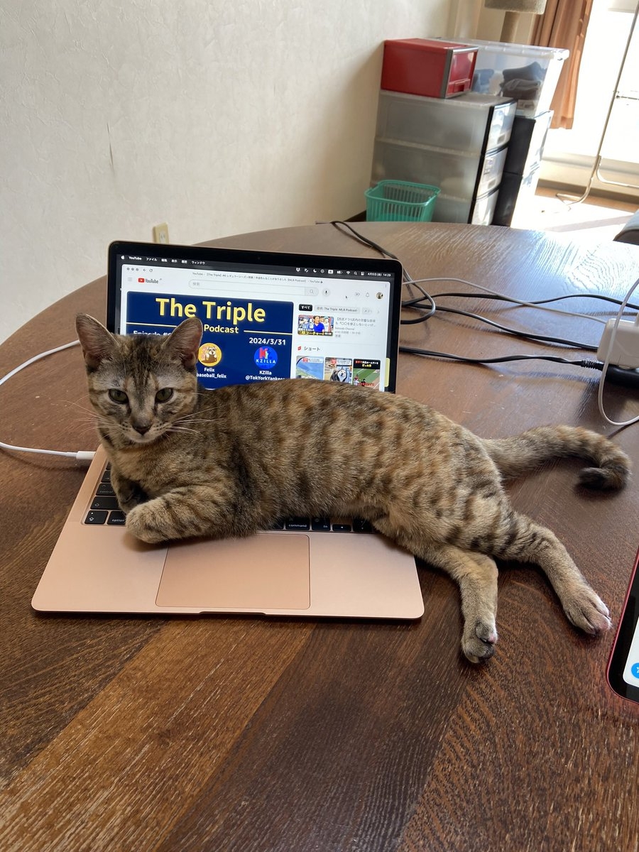 奴才：怎麼可能喔