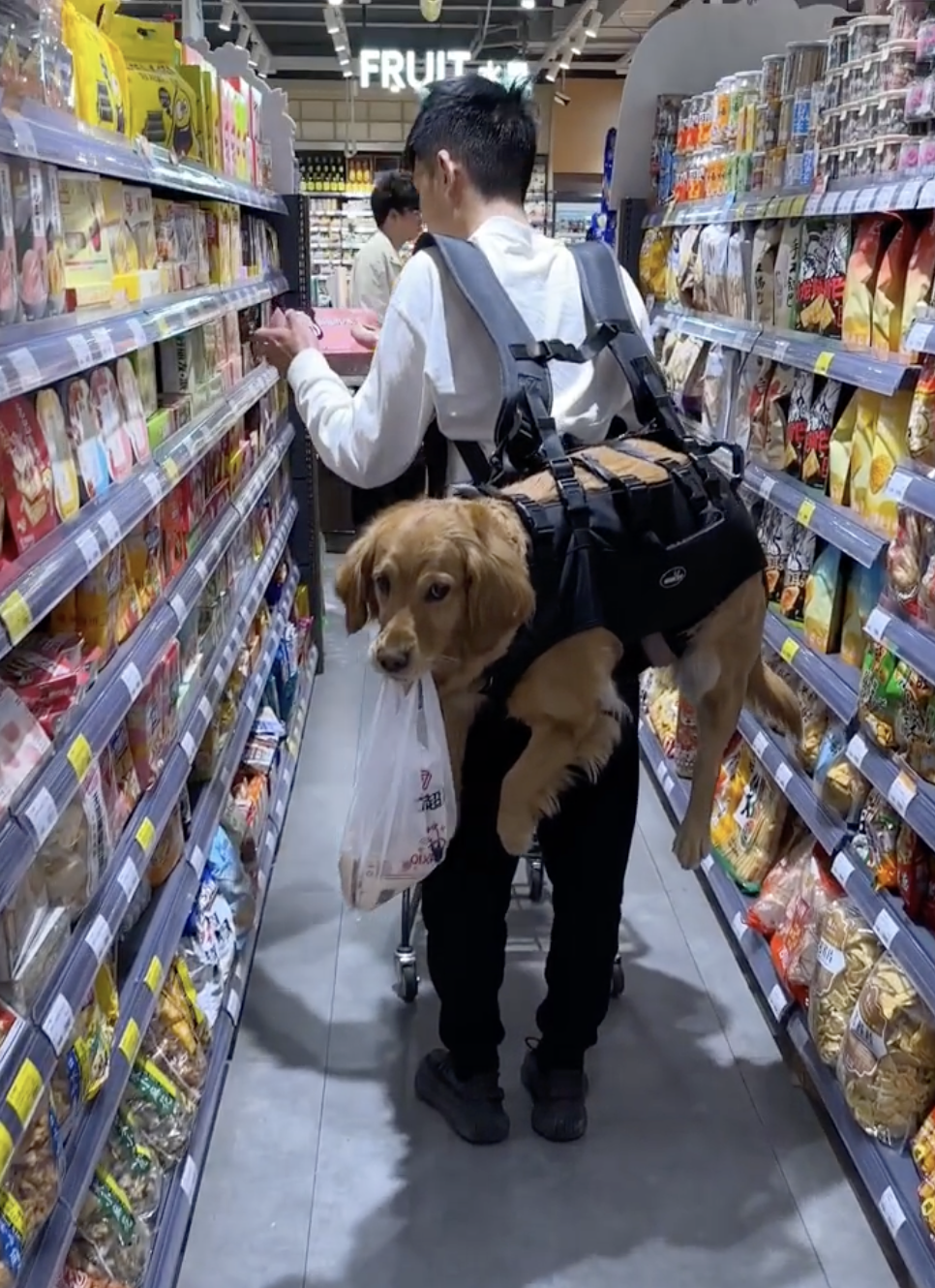 奴才:你真的有點重
