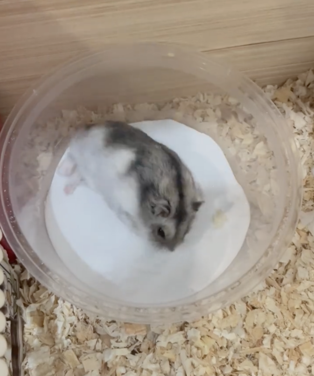 奴才:那你什麼意思喔