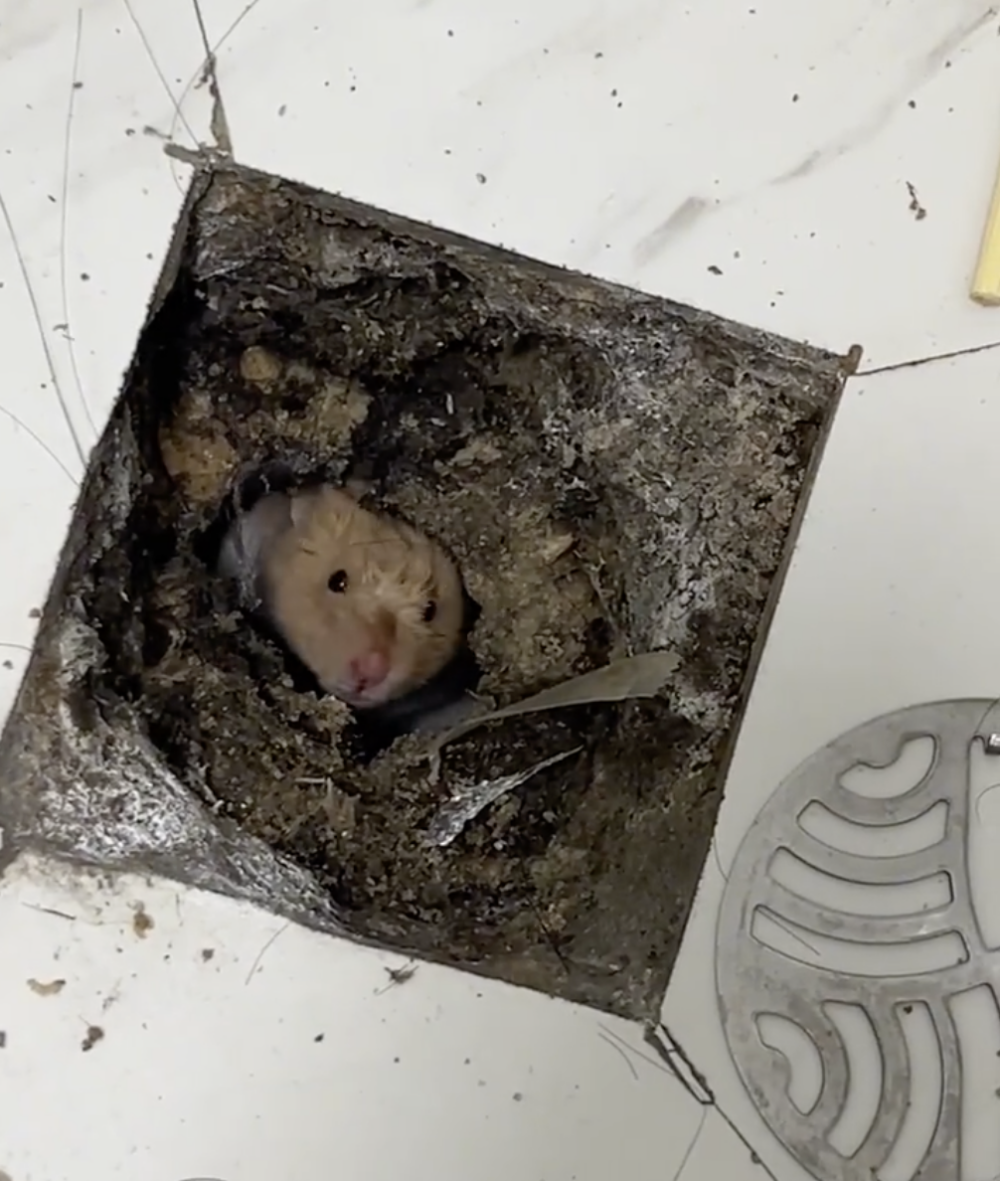 奴才：你嚇死我了