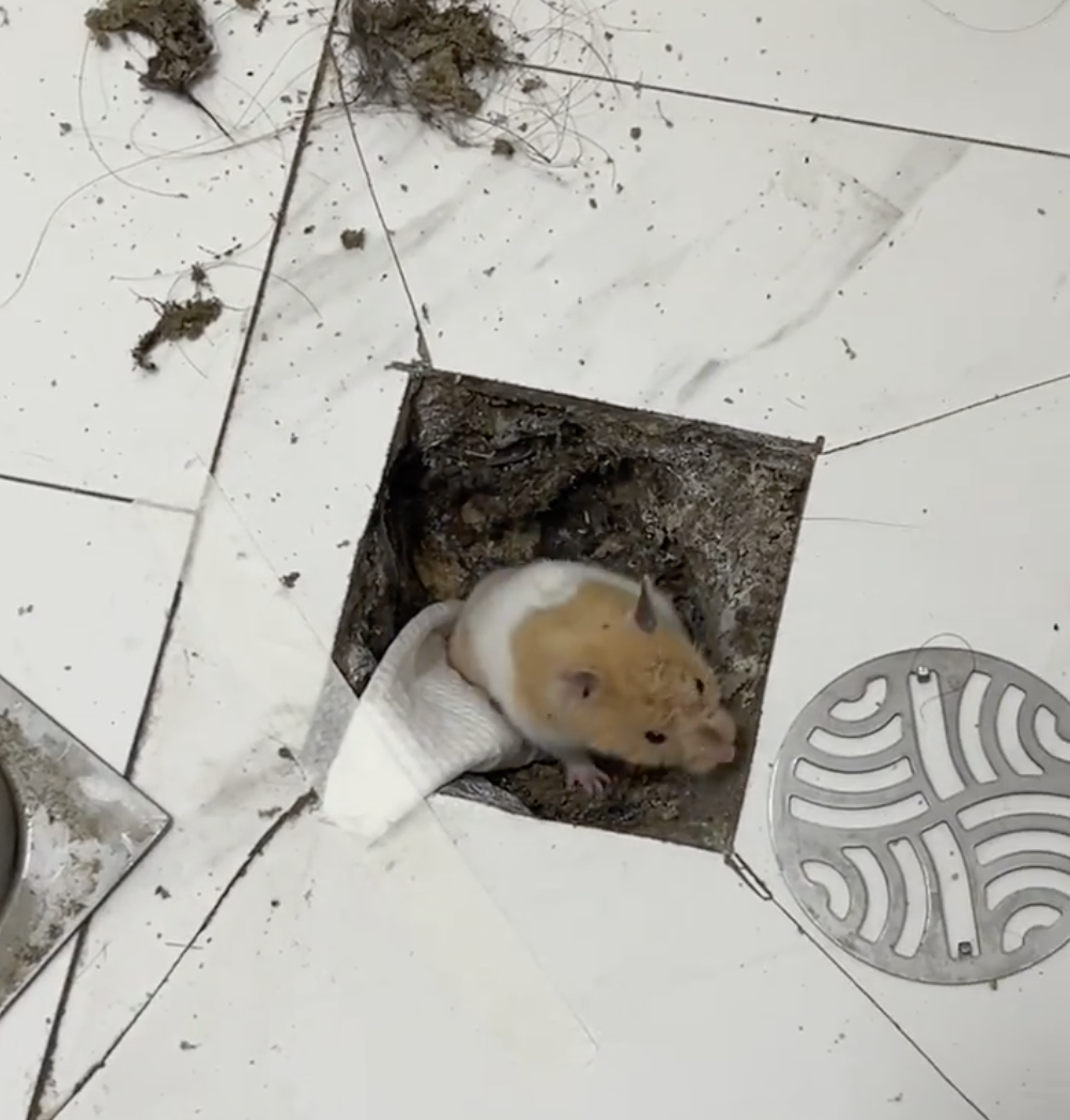 奴才：現在知道我的重要了吧