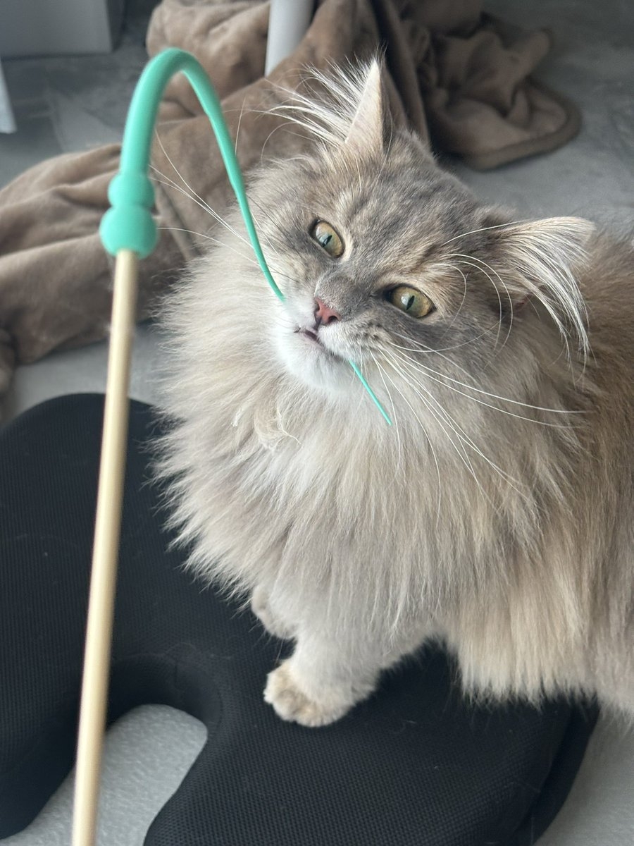 奴才：原來在這裡等著我嗎？