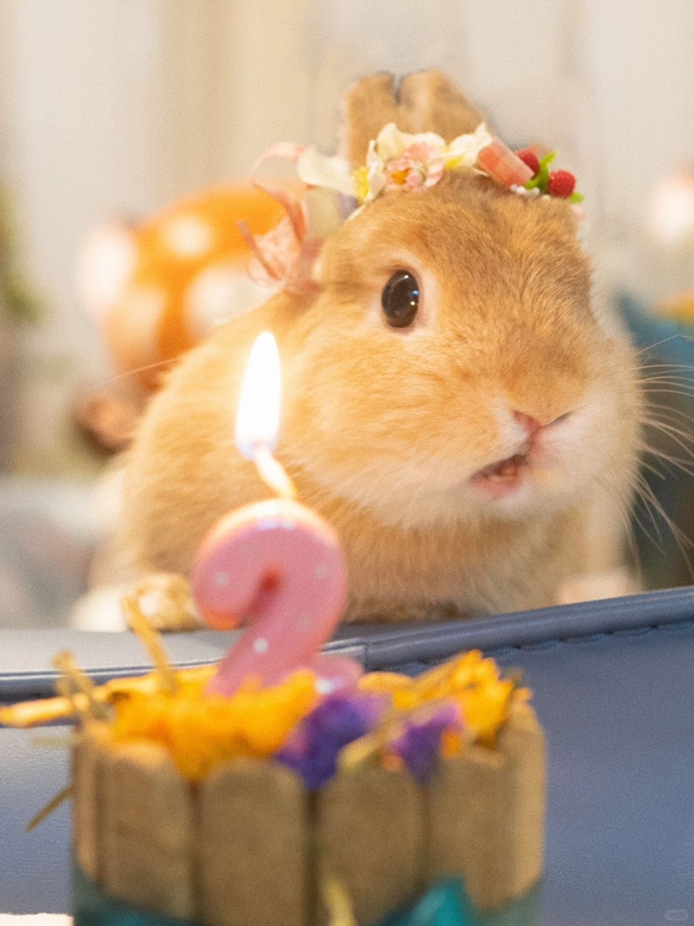 奴才：沒錯沒錯