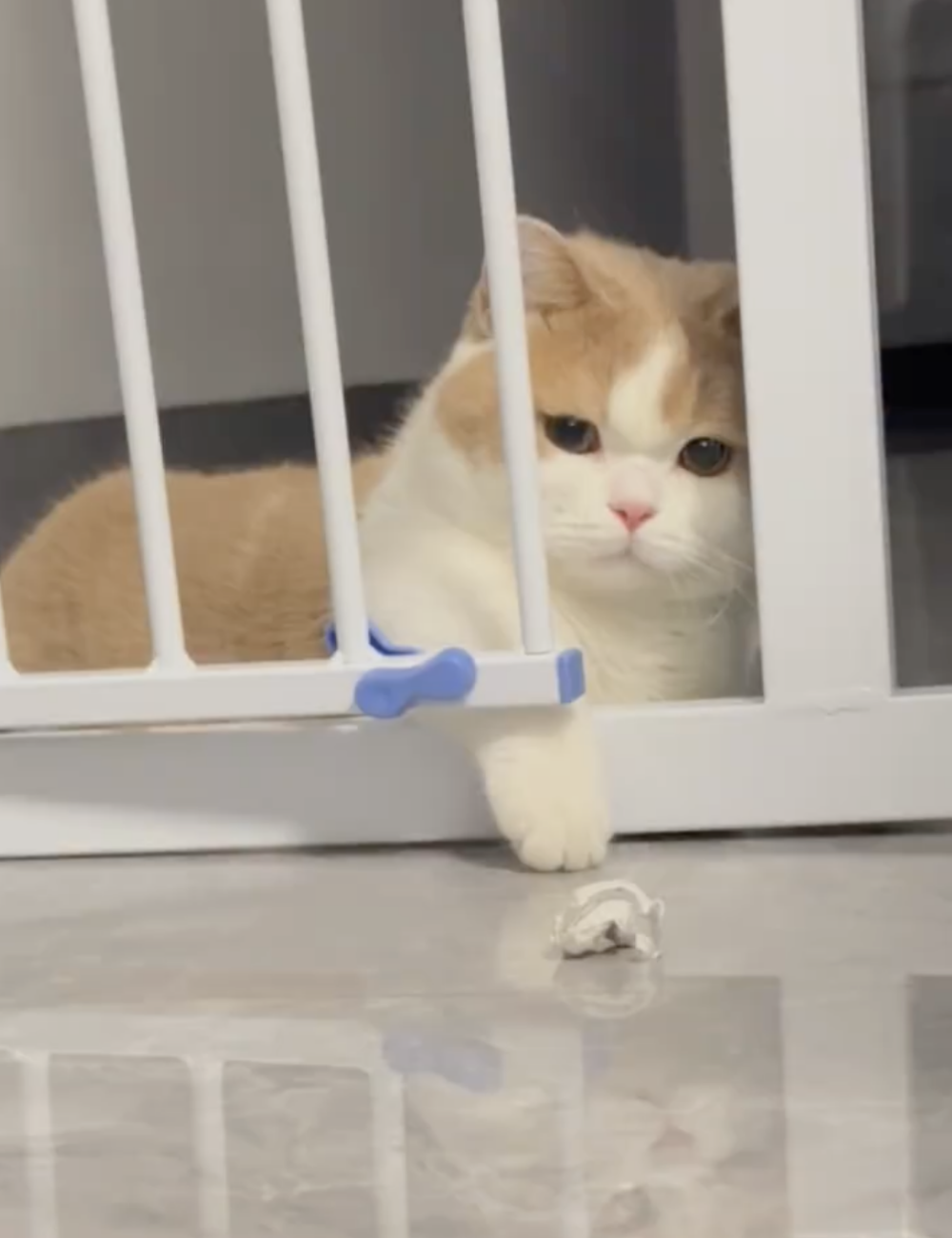 奴才：你想想其他方法呀