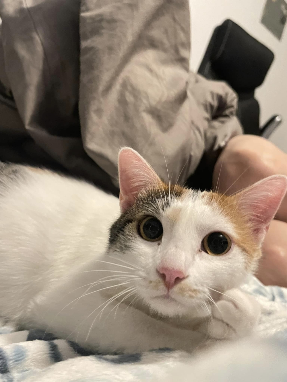 「花花」最後逃出大樓。