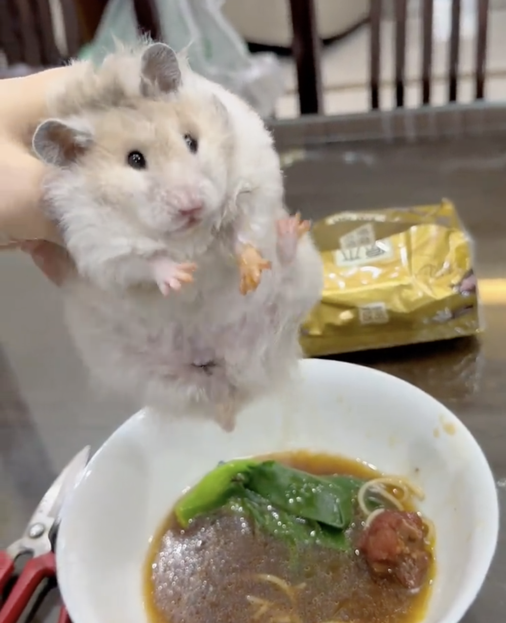 奴才：你快放下啦