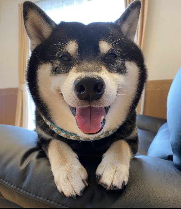 奴才:沒有忘記你啦