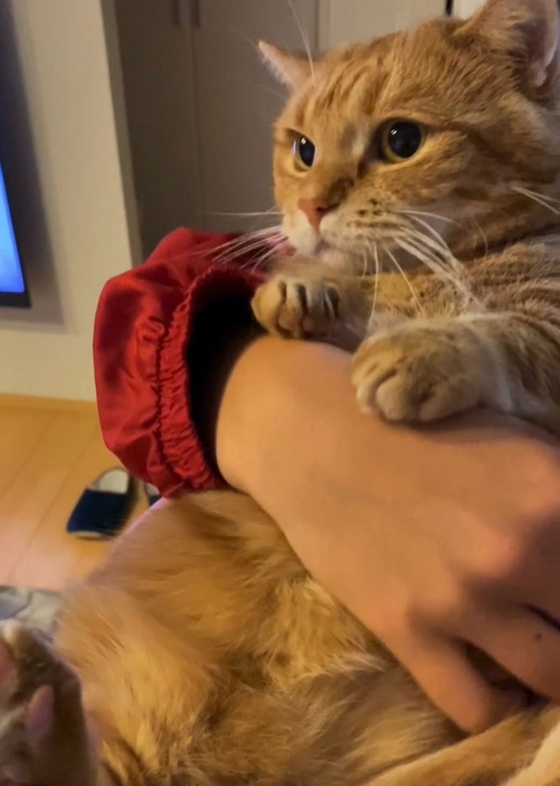 奴才：那就最好喔