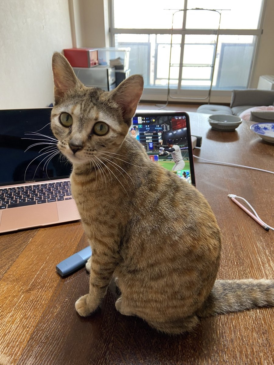 奴才：那麼霸道的嗎？