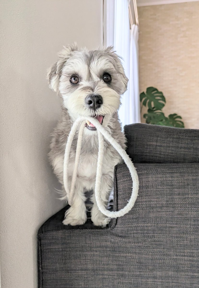 奴才：沒來錯地方吧