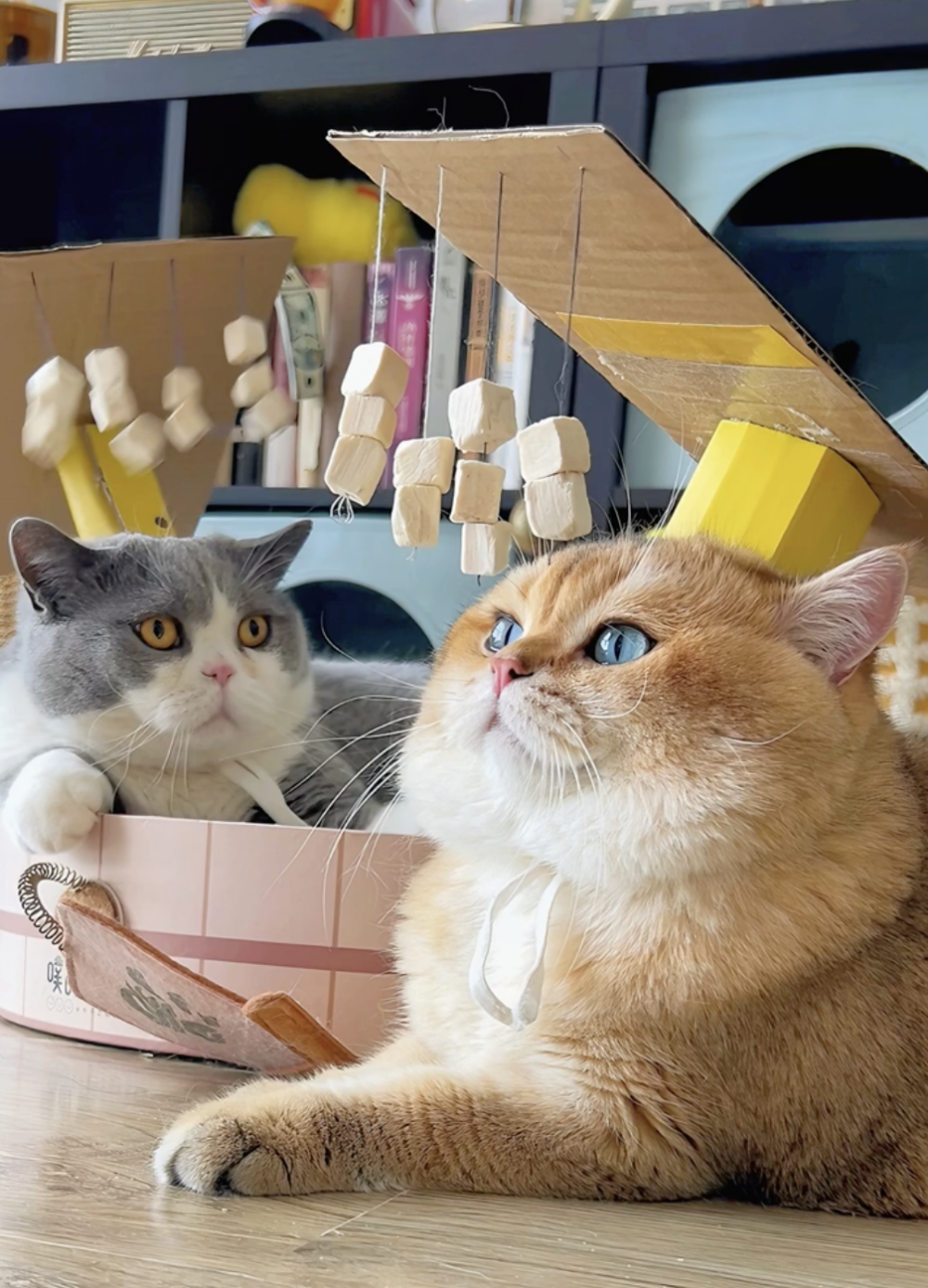 奴才：給加加油喔