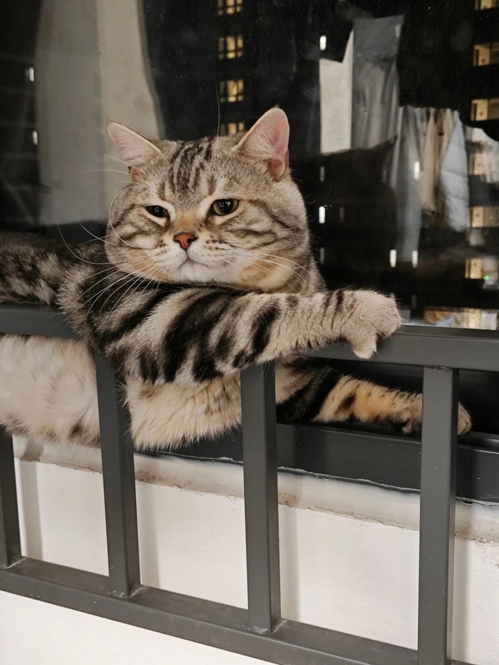 奴才：開心健康最重要