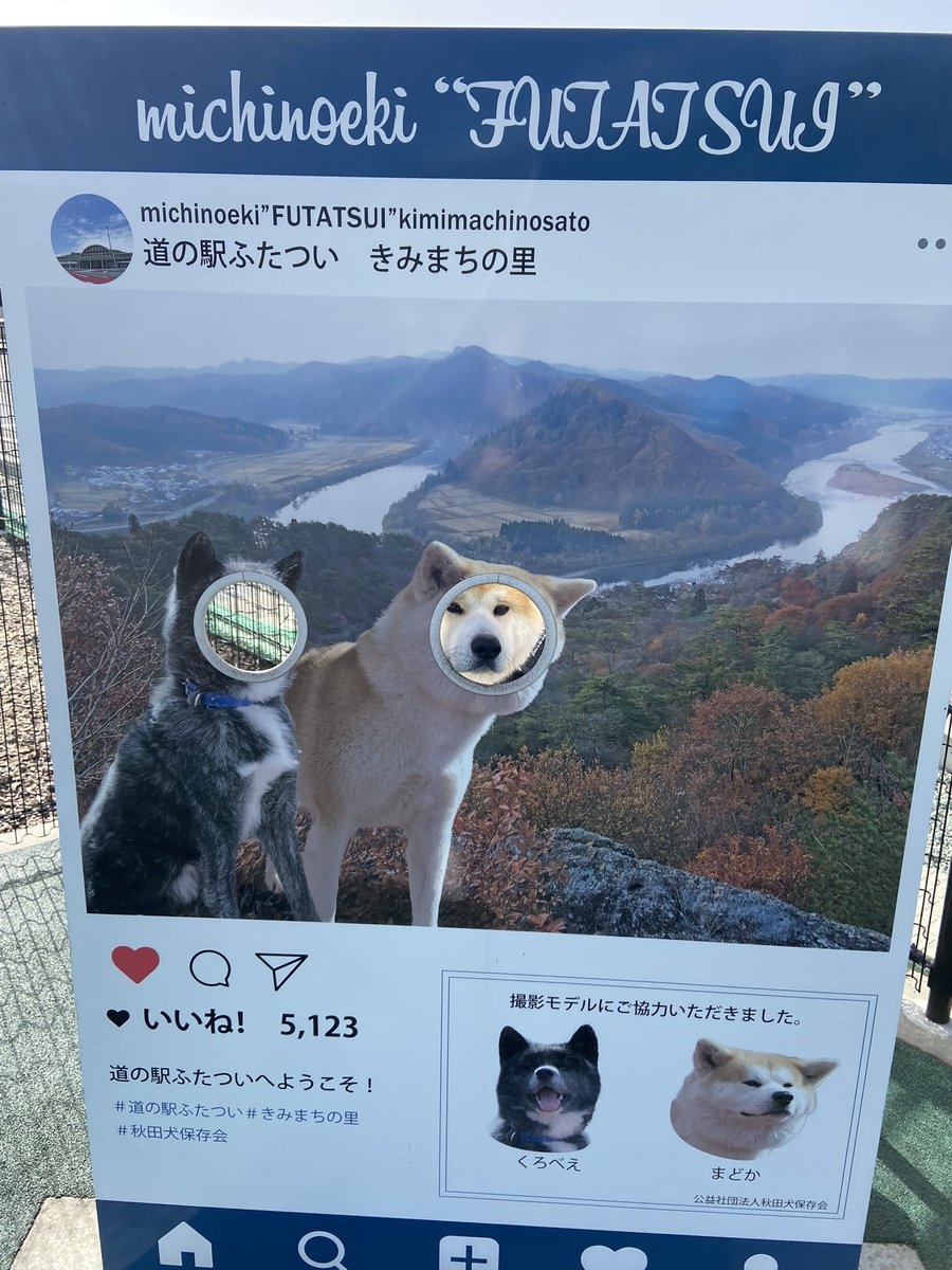 奴才：連你都覺得像對不對