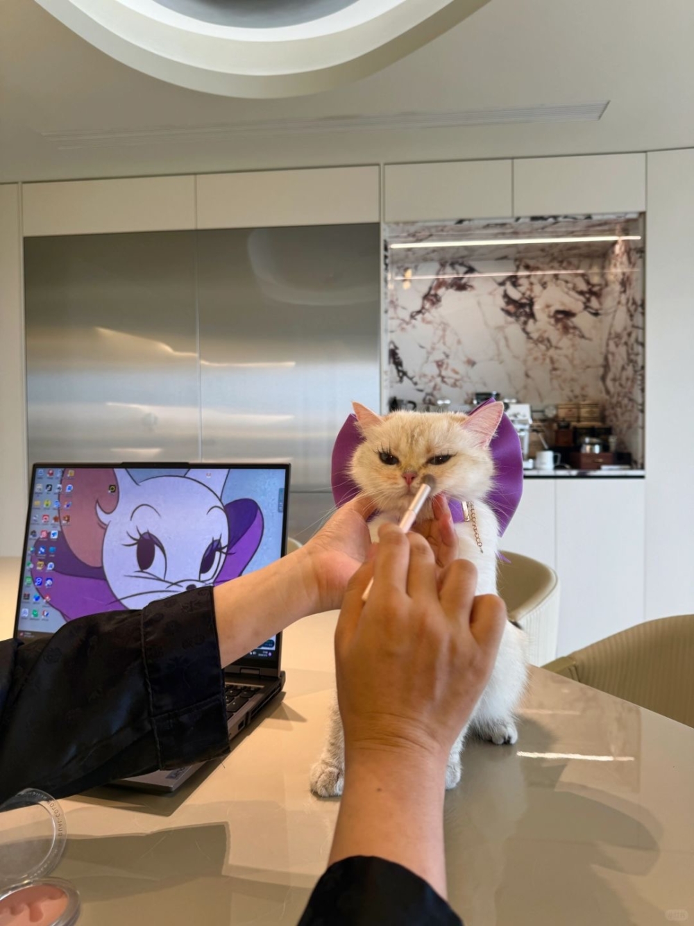 奴才：你不覺得挺好看的嗎？