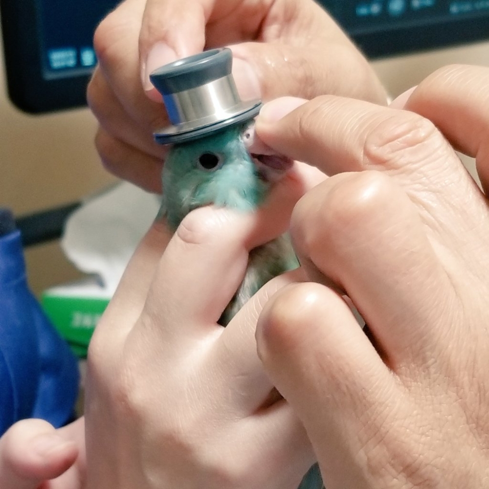 奴才：對啊～怎麼我比你還緊張