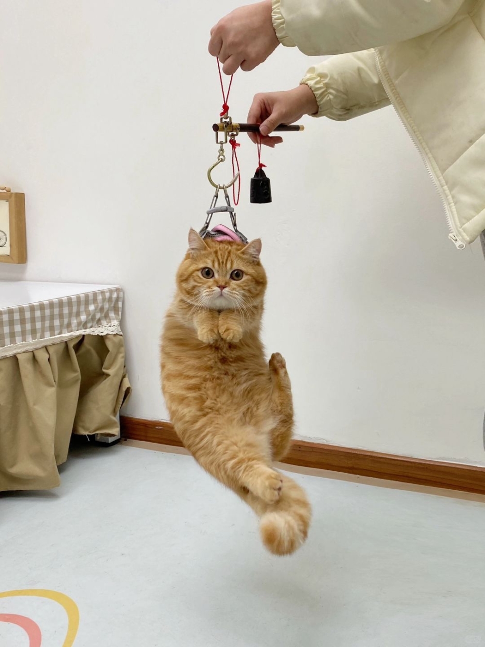 奴才：抱歉，口誤了