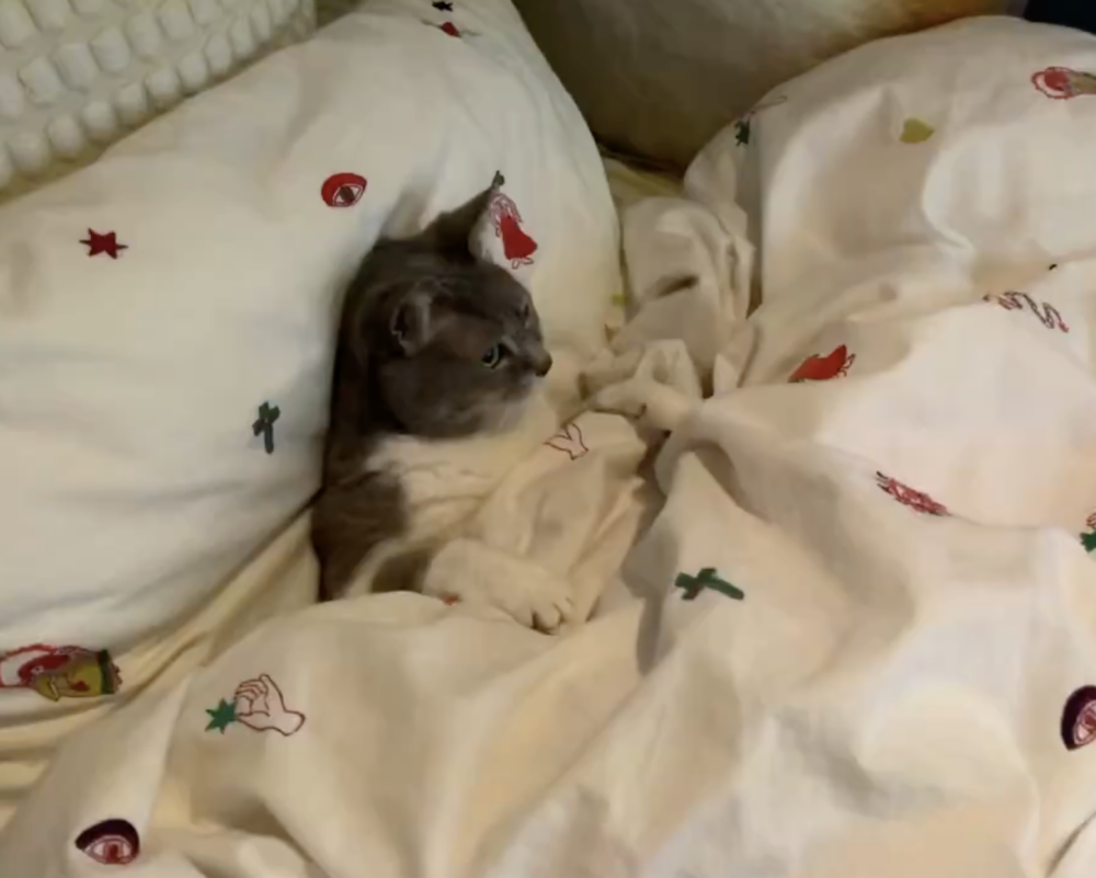 奴才：不是啦！我現在必須工作先