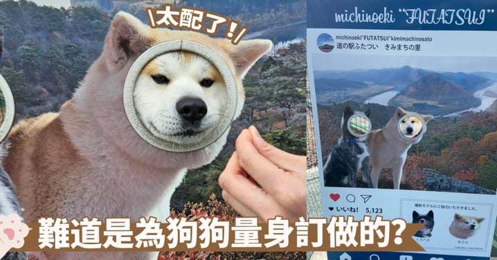 來拍照打卡囉！日本休息站旁的遛狗場有臉書打卡站點欸～秋田犬的適配度毫無違和感
