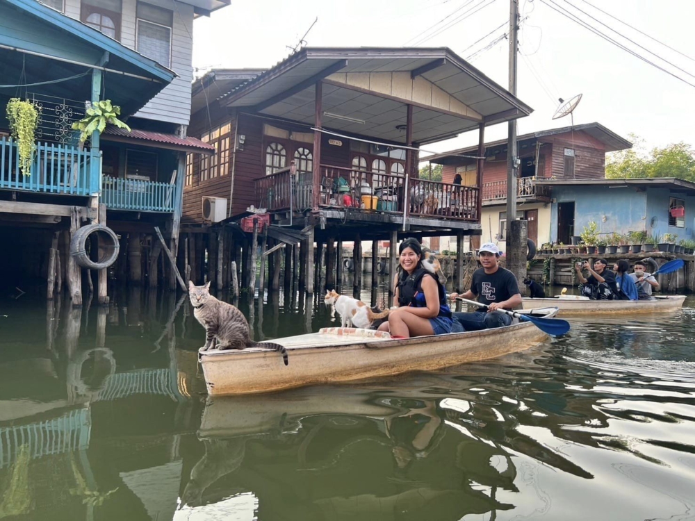 「貓貓船」吸引不少愛貓人士慕名前往。