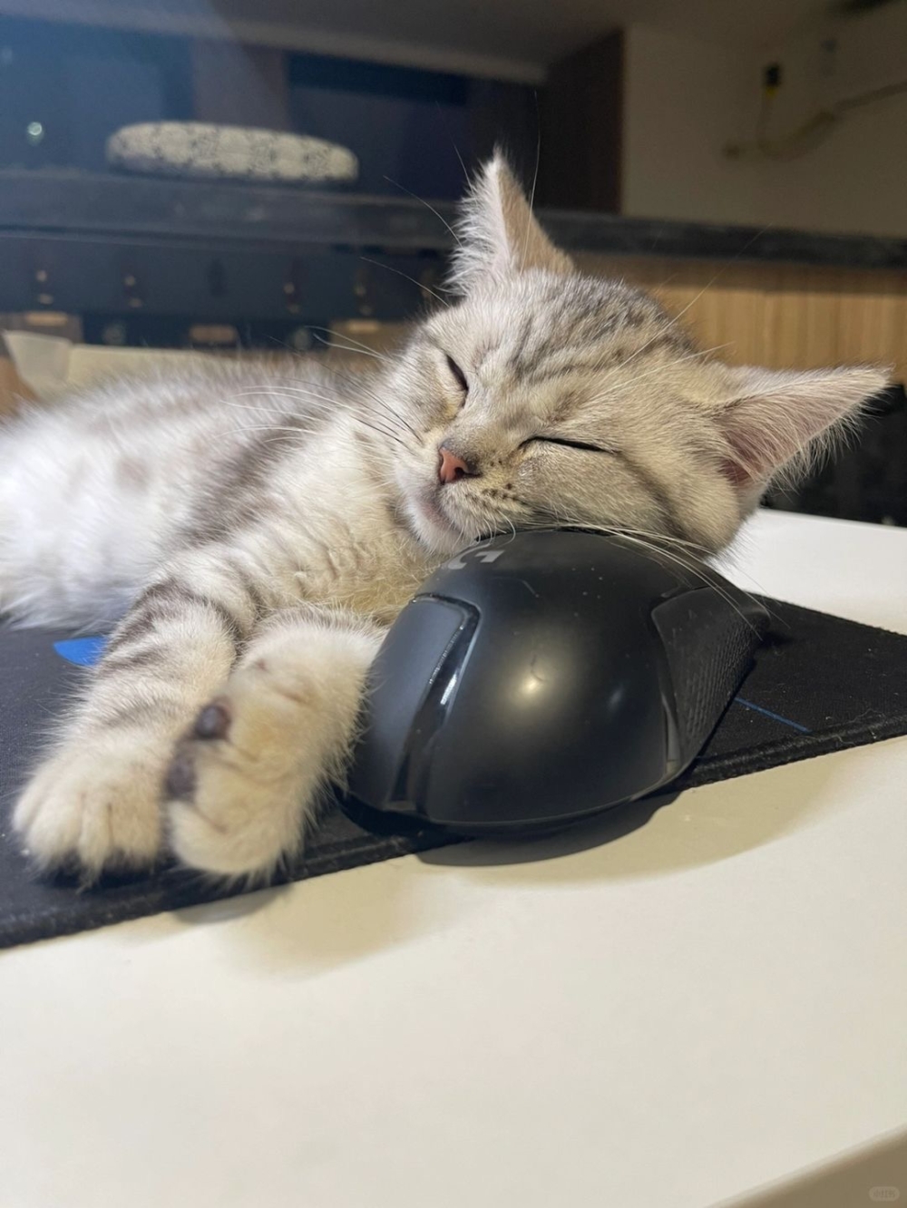 奴才：那我要怎麼工作