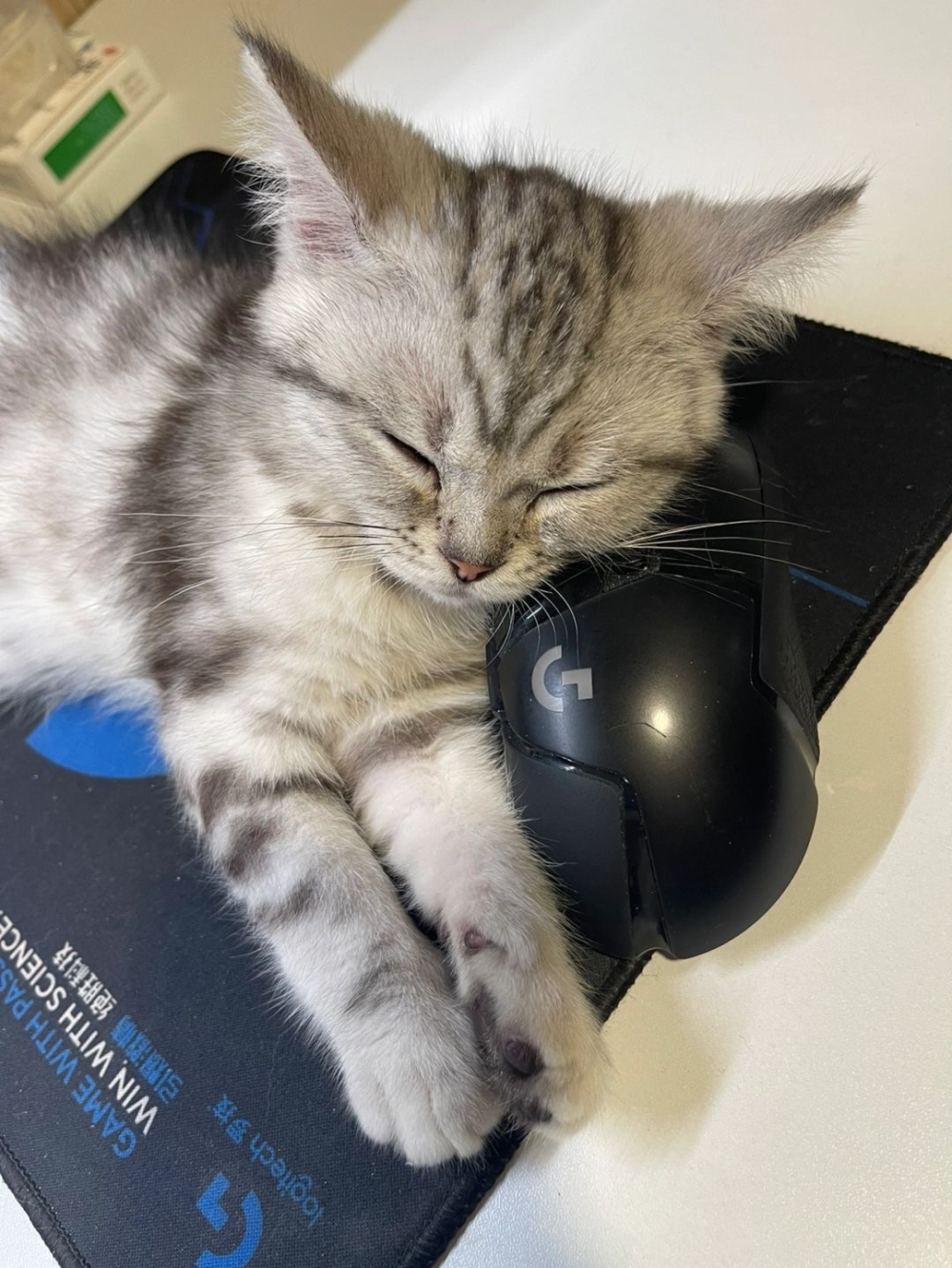 奴才：別這樣啦