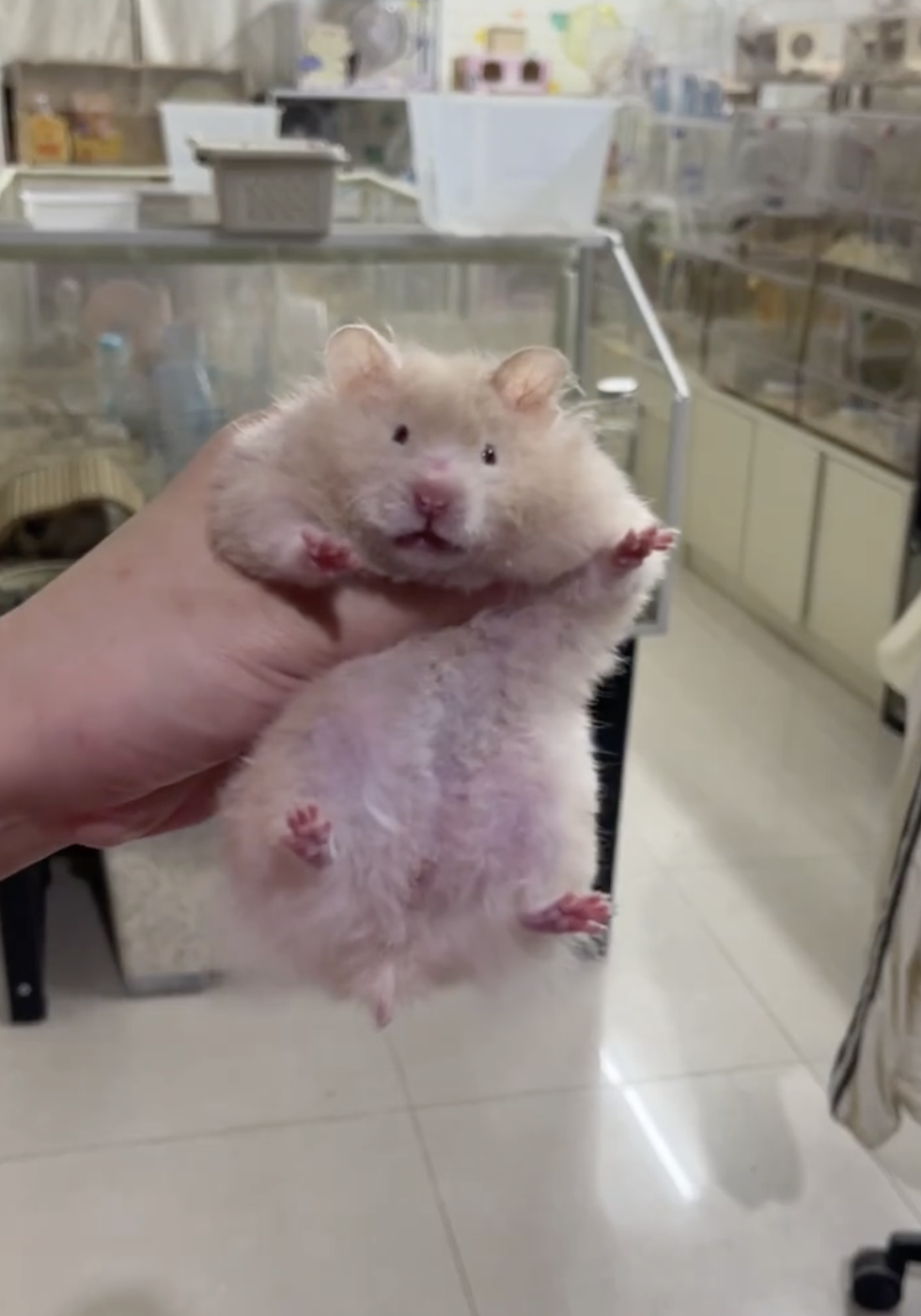 奴才：笑容太治癒了吧