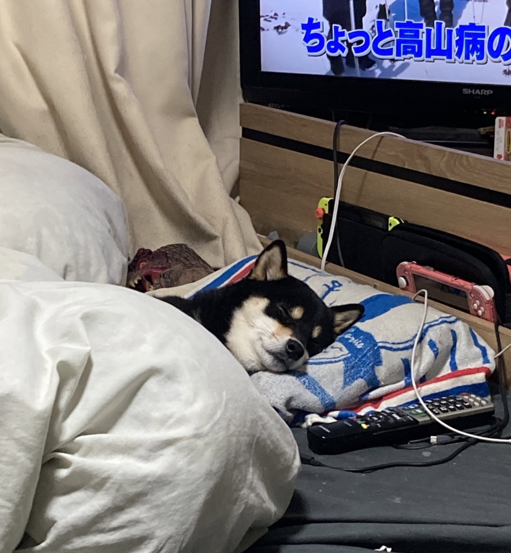 奴才：你是一點都不客氣啊