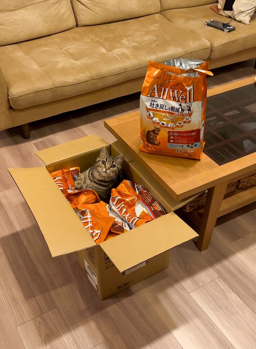 奴才：你想得真美