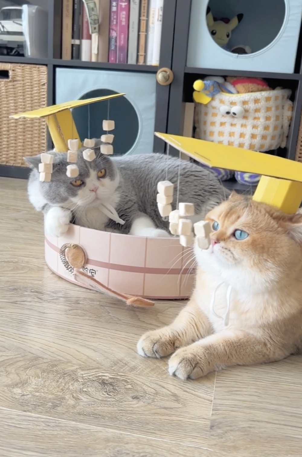 奴才：自己想想辦法啊