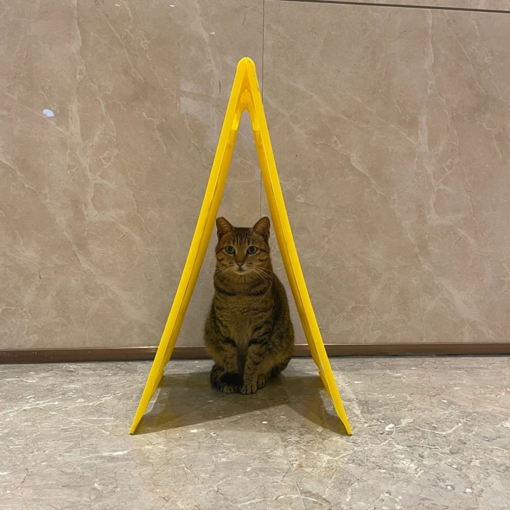 路人：好勵志啊