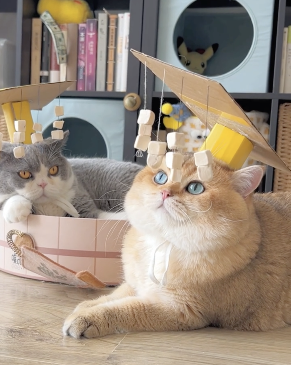 奴才：我沒說我不是啊