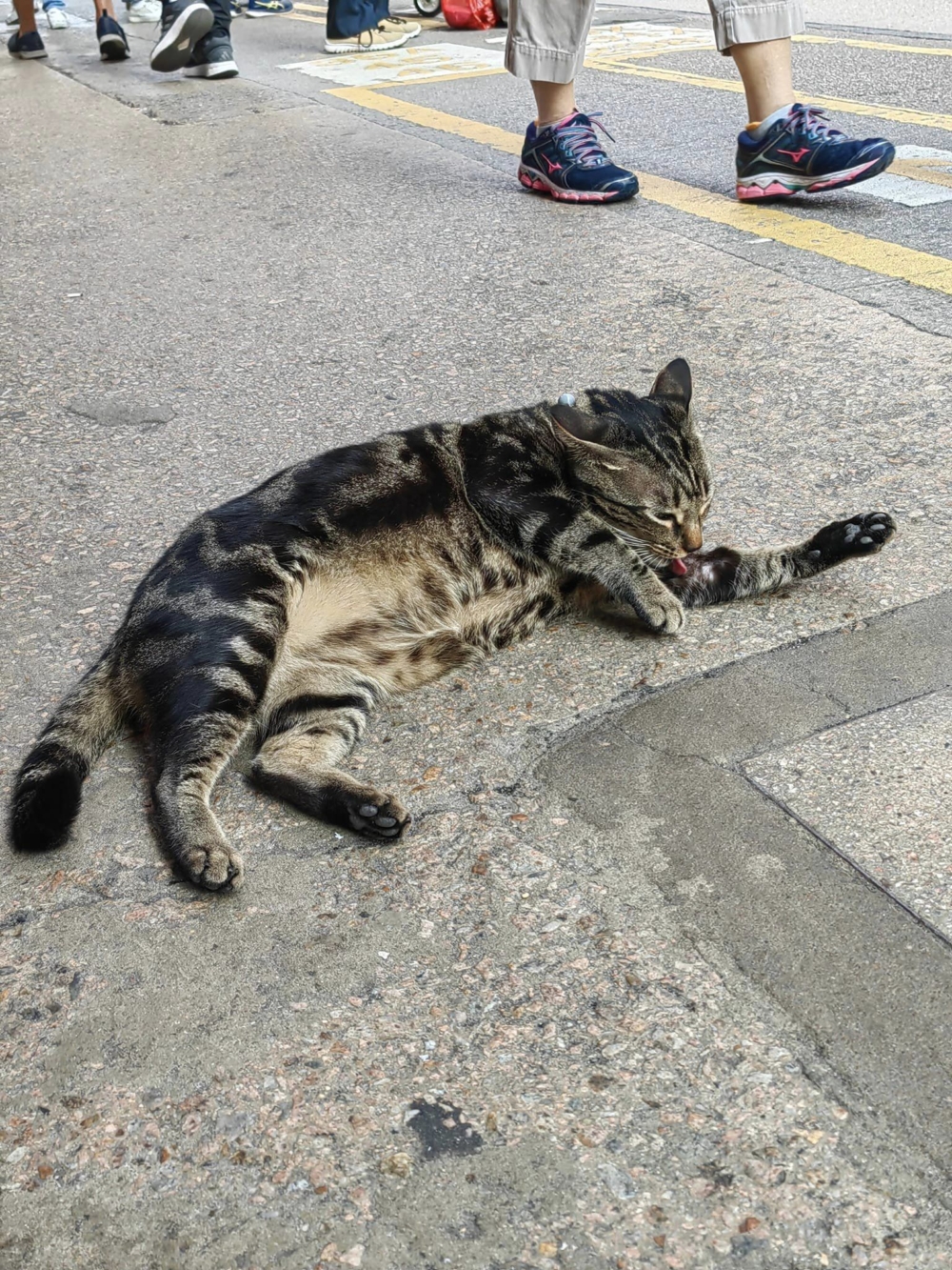 「阻生」成功爭取阻街合法化。