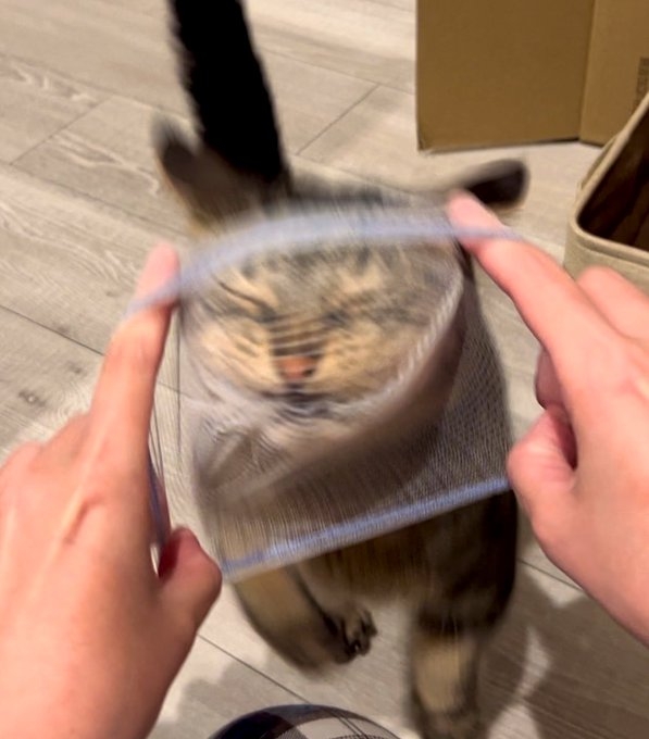 奴才：你別搶呀