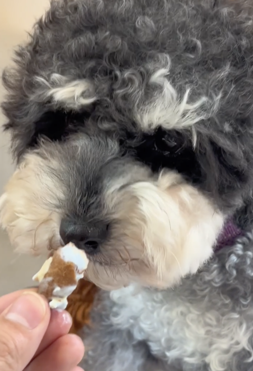 奴才：態度很好捏