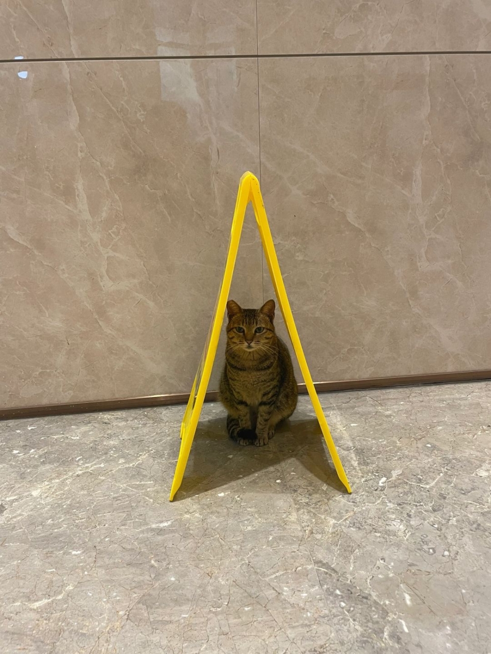 路人：一切都會好起來的