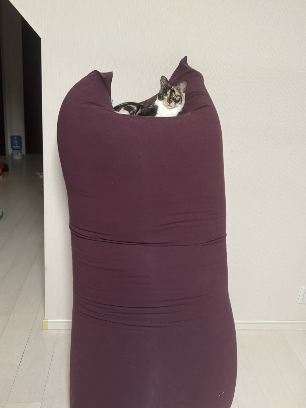 奴才:你是來氣我的吧