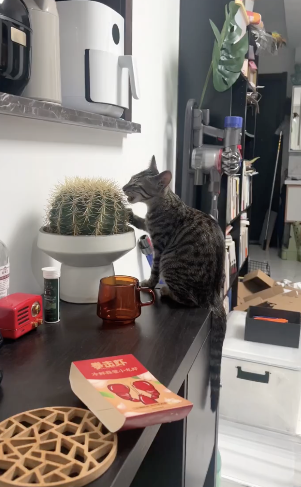 奴才：你確定它是反擊你嗎？