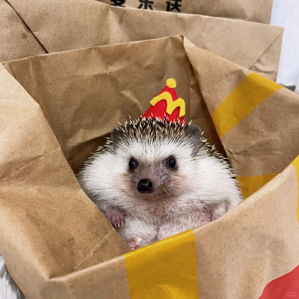 奴才：我們必須精益求精啦