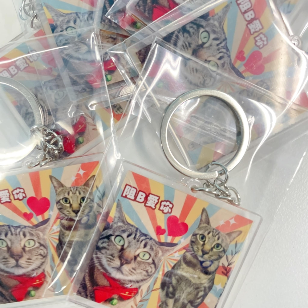 有網民為「阻生」製作了鎖匙扣。