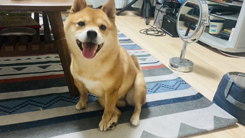 奴才：累到翻白眼了