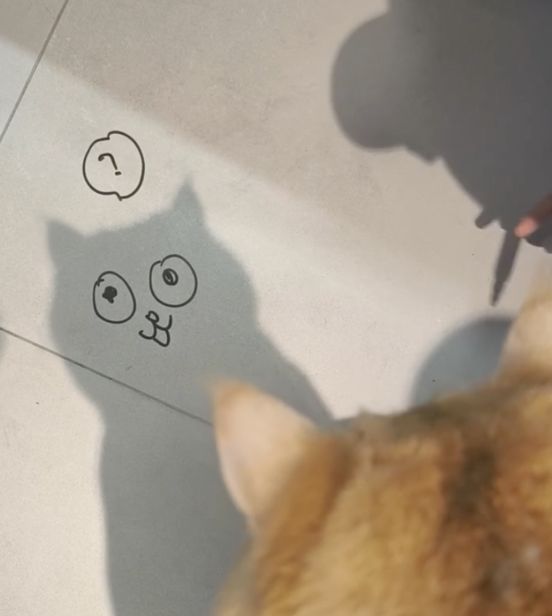 奴才：我幫你展現啊